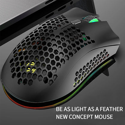 Wireless RGB Ultralight Mouse